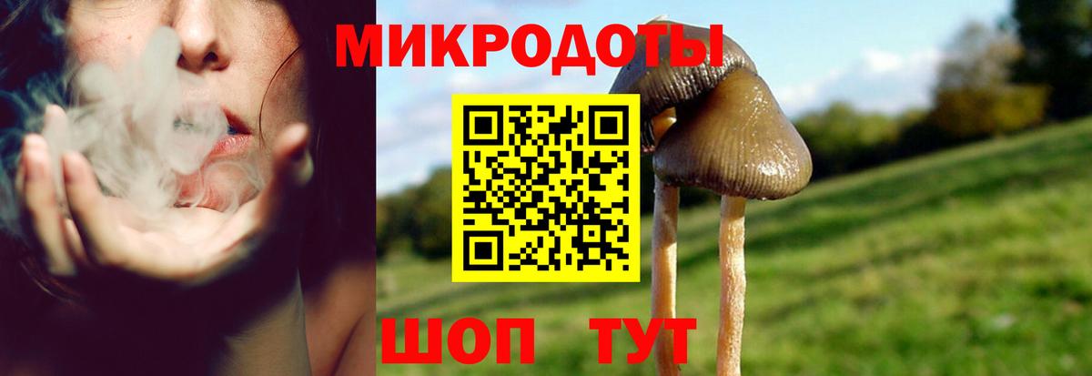 Галлюциногенные грибы MAGIC MUSHROOMS  Вход с VPN  Кунгур  Галлюциногенные грибы мухоморы 